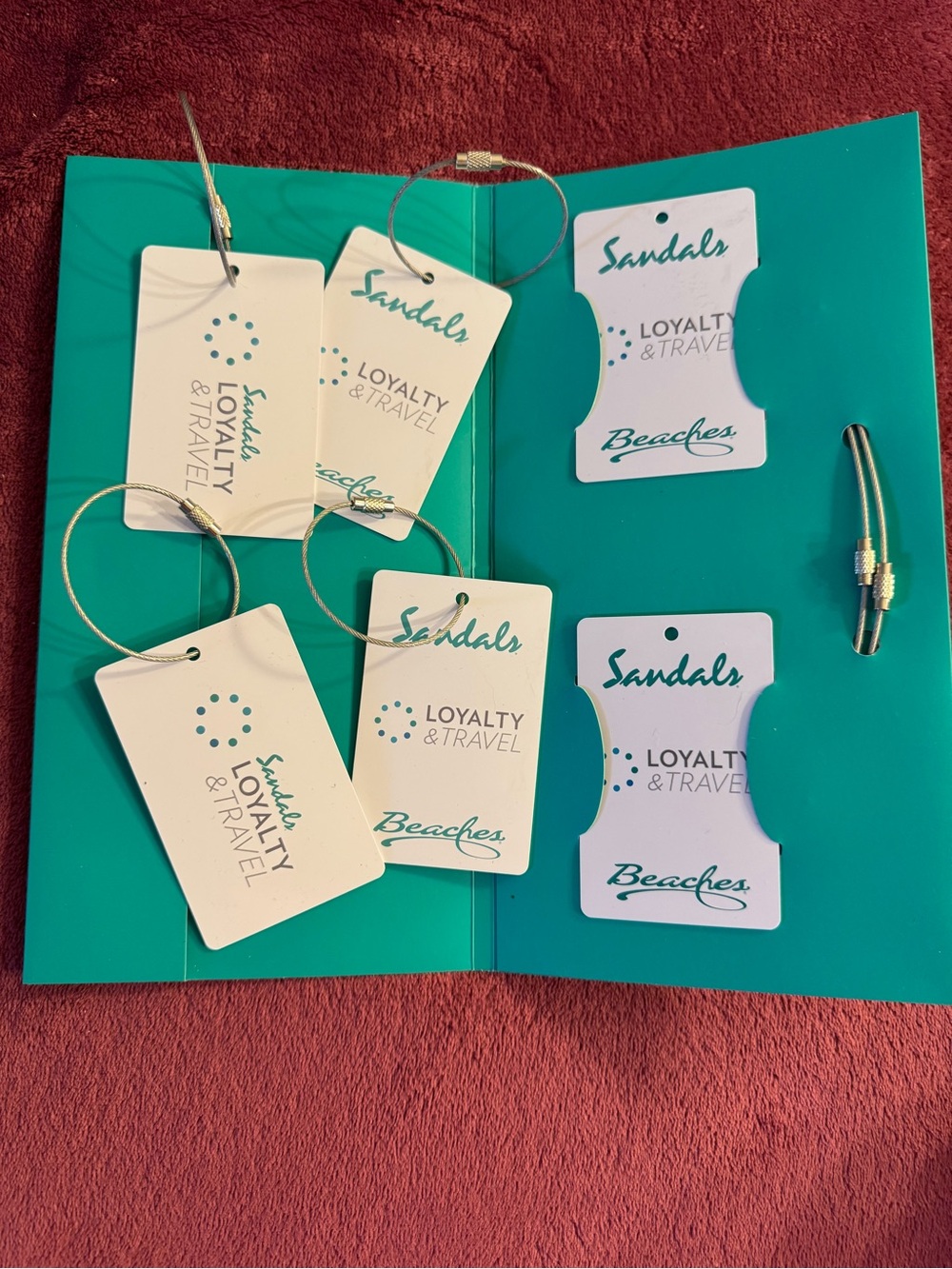 adidas Teal and White Luggage Tags - Set of Travel ID Tags